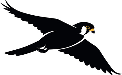 kestrel bird isolated on white background small falcon and predatory raptor for wildlife and nature illustration