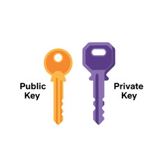 Two stylized keys, public and private, displayed side-by-side, highlighting the difference in access.