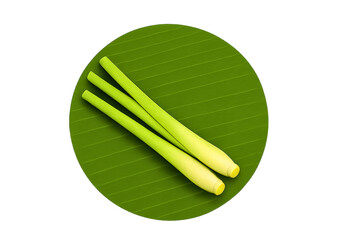 lemongrass, fresh_lemongrass, Thai_herb, Asian_herb, culinary_herb, Thai_ingredient, Southeast_Asian_cuisine, lemon_grass, natural_spice, cooking_ingredient, tropical_pla