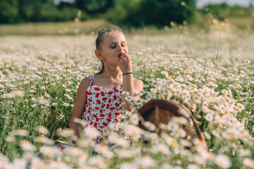 Daisies Girl Strawberry: Girl eating strawberries in a summer field of daisies during daytime for...