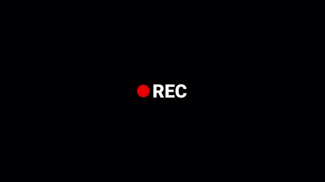 Animation of recording button with transparent background, 4k simple recording icon animatione with alpha channel.	 