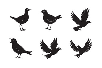 silhouette bird flying with wings spread set bundle on the white background