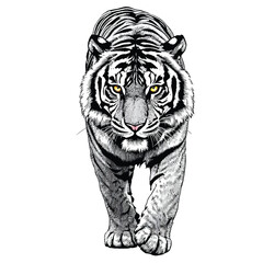 Majestic Tiger Walk – Realistic Black and Gray Vector Silhouette with Yellow Eyes and Intense Forward Motion