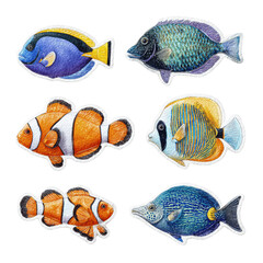 Six Vibrant Tropical Fish Illustrations