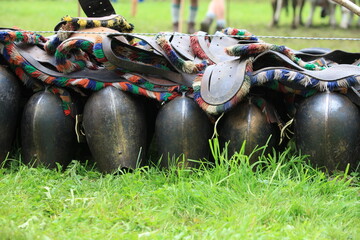Bunch of black and colorful balls are on the grass