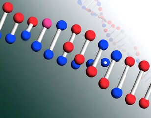 DNA double helix structure illustration