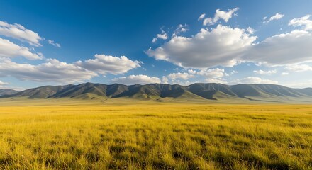Fototapeta premium Natural Landscape of Prairie (Sunny)