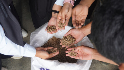 Premium Fish Feed Pellets in Hands