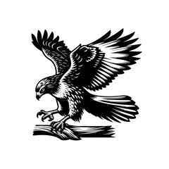 Obraz premium Eagle perched on a branch, ready to fly