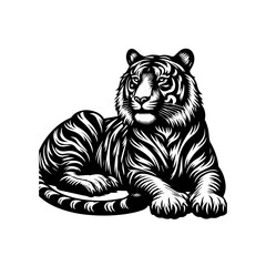 Fototapeta premium A majestic tiger lies in repose, isolated on white