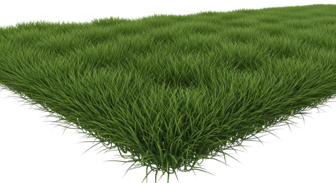 Close up of green grass turf isolated PNG with Transparent Background