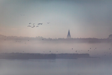 Boddenlandschaft im Nebel mit fliegenden Kranichen und Gänsen.