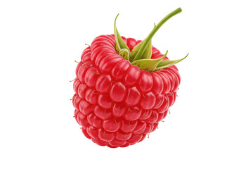 Close-up of a ripe raspberry showcasing its vibrant color and texture against a plain background
