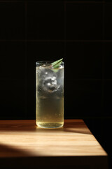 Highball cocktail with ice and mint in dramatic light