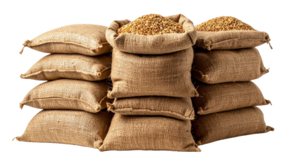 Stack of burlap sacks filled with grain isolated on solid white background
