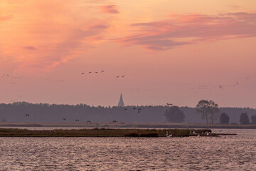 Zum Sonnenaufgang am Bodden vor Zingst mit Schw&auml;nen und fliegenden Kranichen.