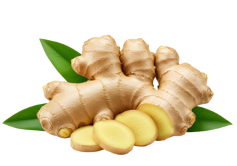 Fresh ginger root with green leaves and sliced pieces on a clean background