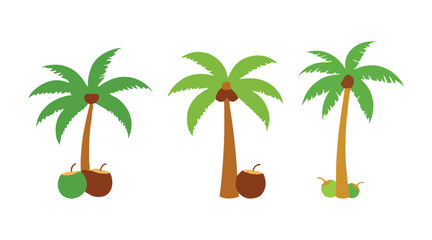 Realistic Coconut Palm Tree Vector with Detailed Leaves on white background.