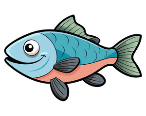 Tilapia on background white