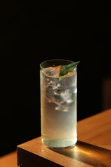 Highball cocktail with ice and mint in dramatic light
