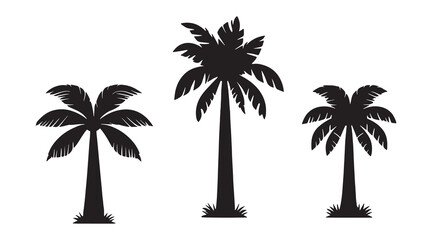 Tropical Palm Tree Silhouette Vector Isolated on White background