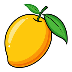 vector illustration of a mango
