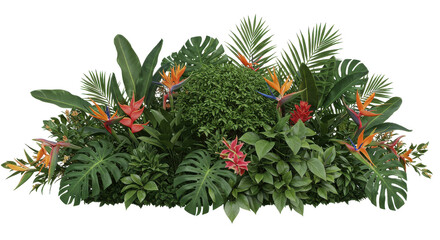 Vibrant tropical plant arrangement showcasing diverse foliage and colorful flowers