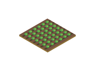 Isometric Lettuce Field Vector Illustration, Organic Green Vegetable Garden in Isometric Style