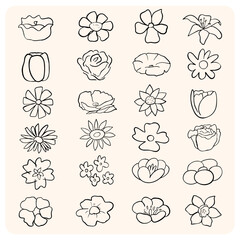 Elegant Outline Botanical Flower Collection