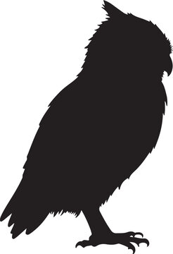 silhouette of an eagle