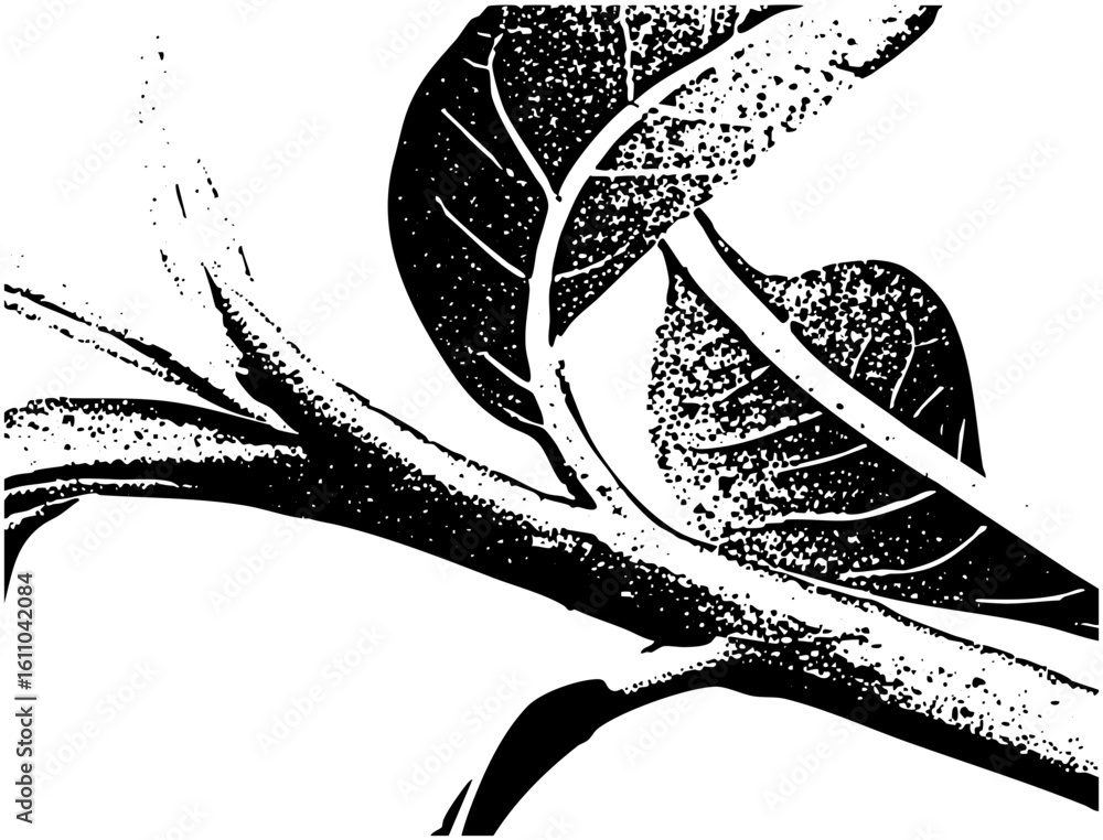 Poster vector botanical branch with textured leaves and stem.