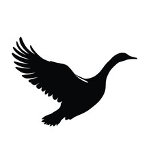 Obraz premium A serene dove of peace in flight, a graceful silhouette embodying freedom and love in nature