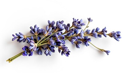 Dried Lavender Sprig Embellishment