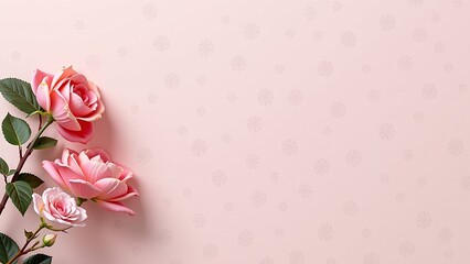 Light Pink Solid Background