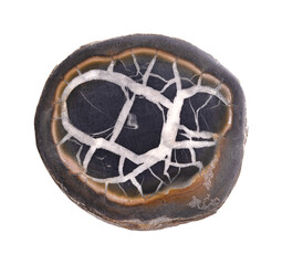 Septarian dragon nodule, polished cross section of a geode. Concretions formed from sedimentary rock, containing cracks and cavities filled with minerals, resembling dragon skin. Isolated, from above.
