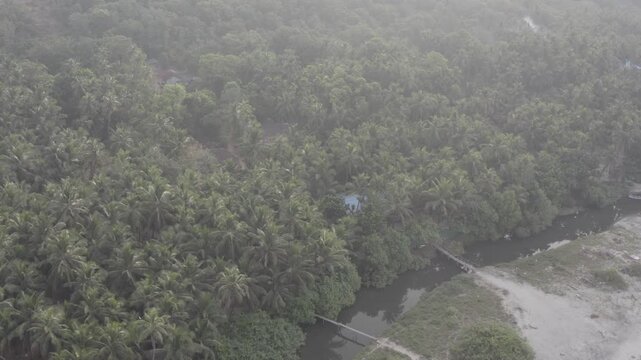 Aerial View of Goa Beach with Coconut Trees, Crashing Waves and Coastline