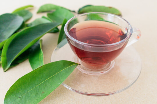 cup of soursop leaves tea. Annona muricata or graviola
