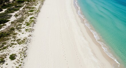 Footprints in the Sand: Tranquil Tropical Beach