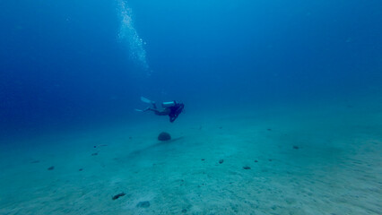 Scuba Diver underwater. Scuba Diver swims over sandy bottom in clear transparent water.