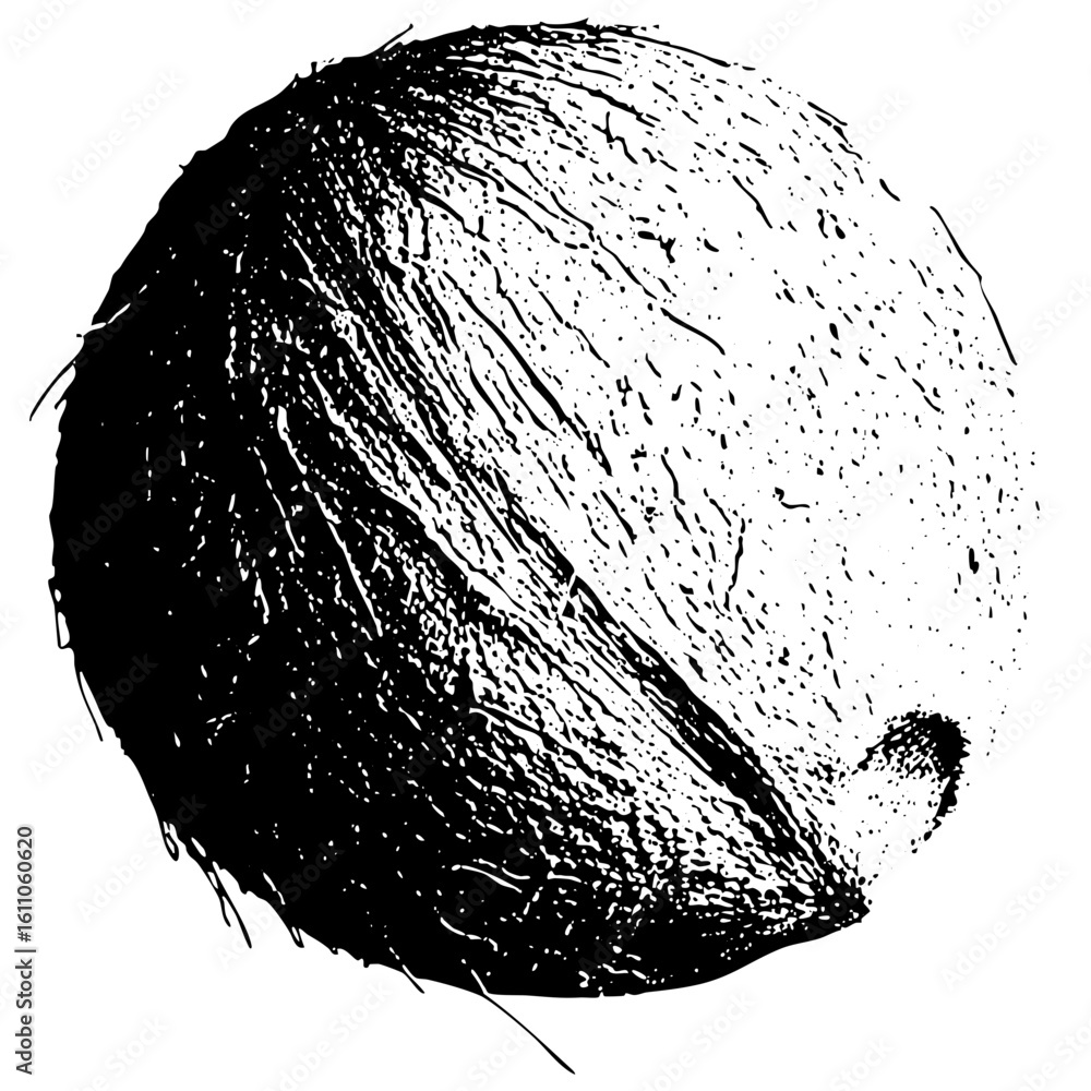 Poster vector abstract coconut half with textured surface.