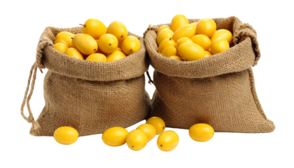 Two burlap sacks overflowing with bright yellow oval shaped fruits isolated on solid white background Png format