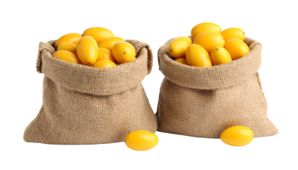 Two burlap sacks overflowing with bright yellow oval shaped fruits isolated on solid white background