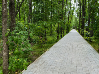 A quaint brick walkway strategically placed right in the middle of a lush green forest, surrounded...