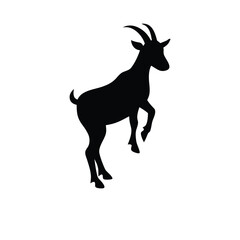 Obraz premium silhouette of a Goat 