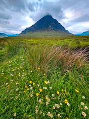 Buachaille Etive Mor - Glen Coe Valley - Highlands - Scotland