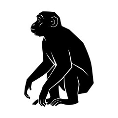 Fototapeta premium Black Monkey Silhouette Vector Alert Squatting - Watchful Primate Animal Icon