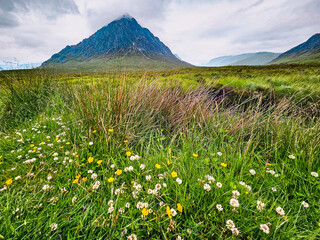 Buachaille Etive Mor - Glen Coe Valley - Highlands - Scotland