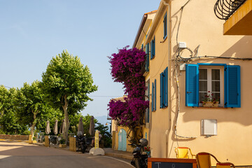 Street with blue shutters and blooming Bougainvillea, France, Corsica, Cargèse, 15 June 2025