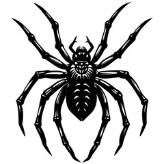 A large, detailed spider illustration with long legs, drawn in a flat, spooky silhouette style.




