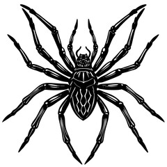 A large, detailed spider illustration with long legs, drawn in a flat, spooky silhouette style.



